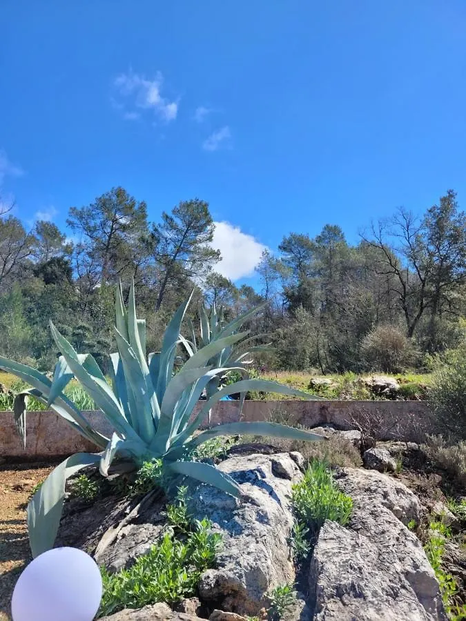 Villa Agave Camps-la-Source